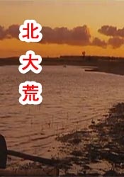 天天插日日射