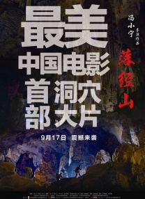 成年人在线免费