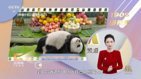 邂逅前女友